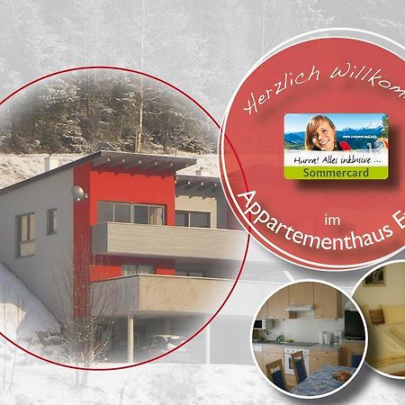 Appartementhaus Evelyn Schladming Buitenkant foto
