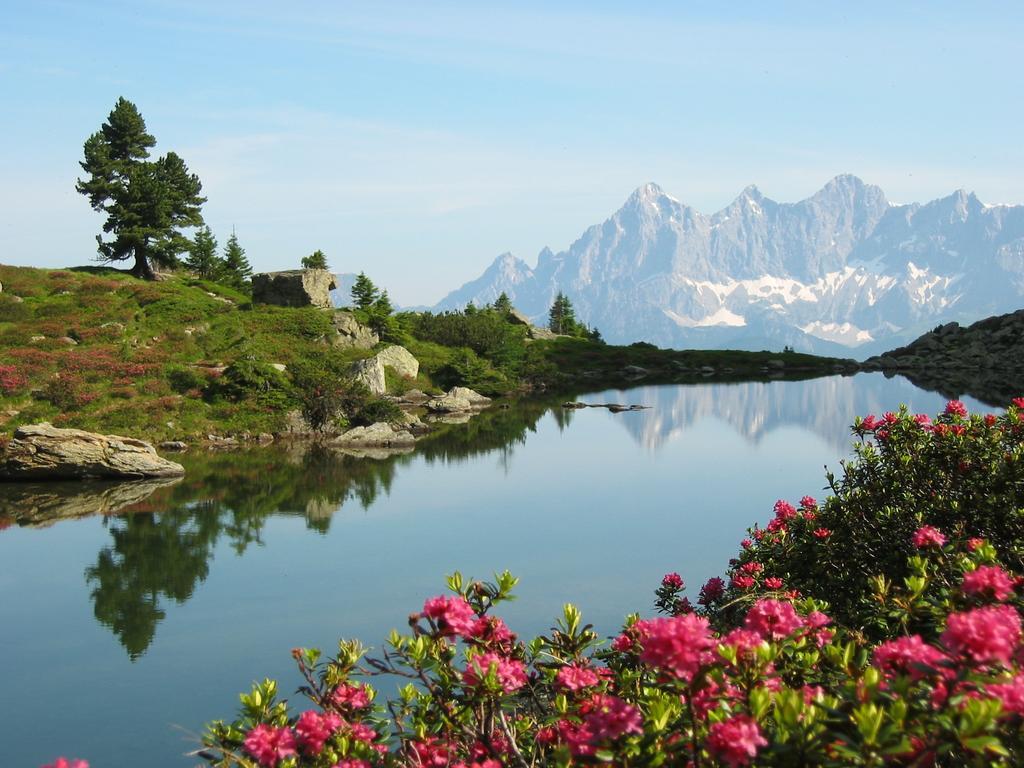Appartementhaus Evelyn Schladming Buitenkant foto